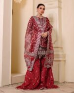 Ally's Official | 3 Piece Luxury Organza embroidered ghararah  |AR-111| Ready To Wear - Image 4