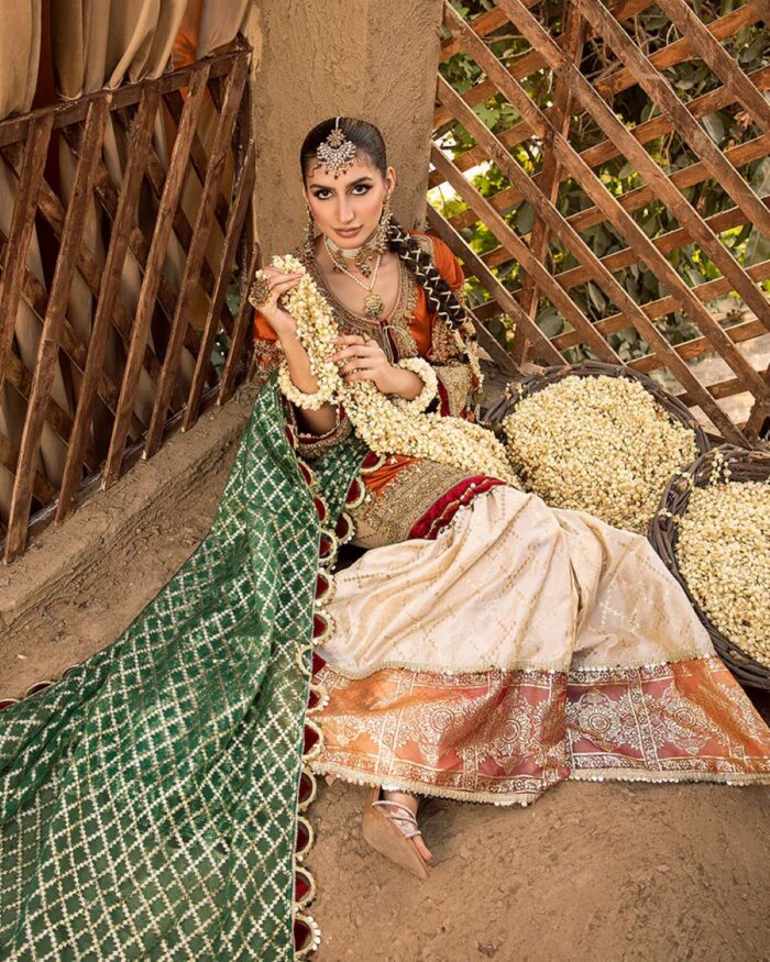 Ally's Official | 3 Piece Luxury Organza Gharara Embroidered  |Aroosh - AR-83 | Ready To Wear - Image 2