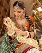 Ally's Official | 3 Piece Luxury Organza Gharara Embroidered  |Aroosh - AR-83 | Ready To Wear - Image 3