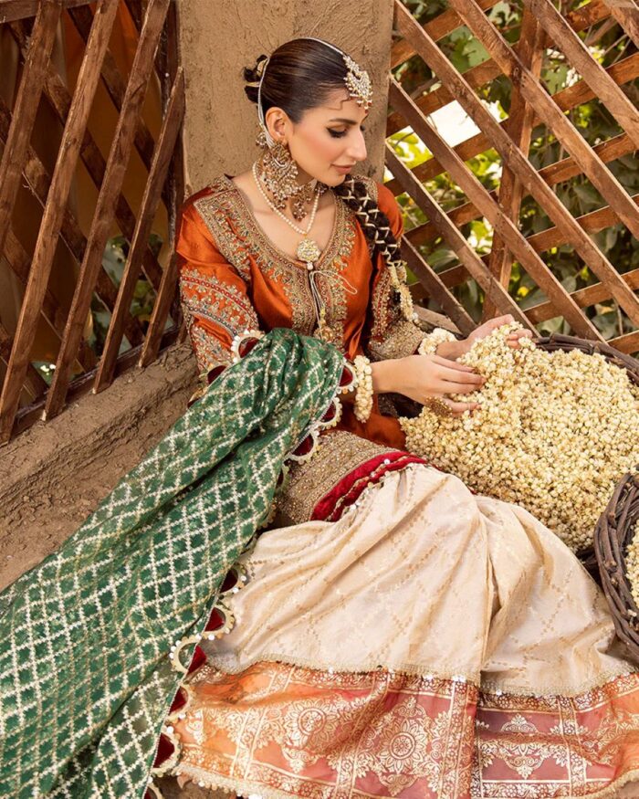 Ally's Official | 3 Piece Luxury Organza Gharara Embroidered  |Aroosh - AR-83 | Ready To Wear - Image 4