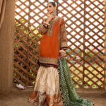Pakistani Luxury dresses Festive collection in UK online