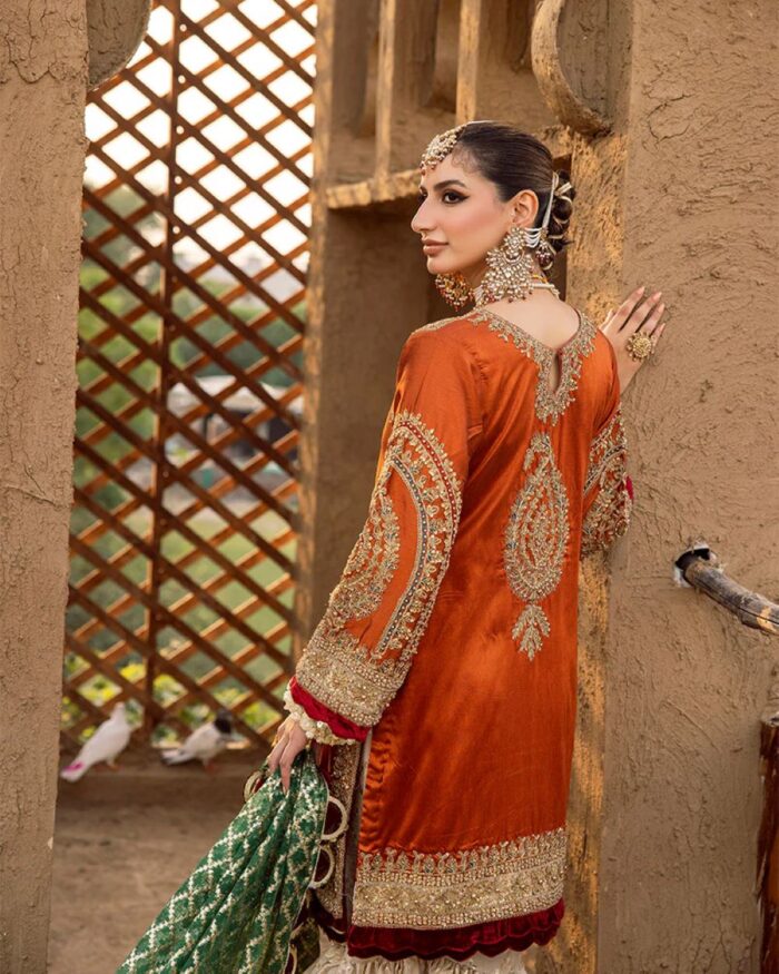 Ally's Official | 3 Piece Luxury Organza Gharara Embroidered  |Aroosh - AR-83 | Ready To Wear - Image 7
