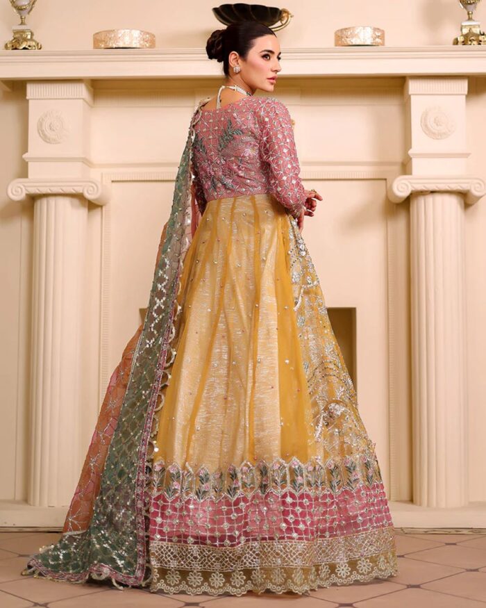 Ally's Official | 3 Piece Luxury Organza Maxi embroidered  |AR-123 | Ready To Wear - Image 2