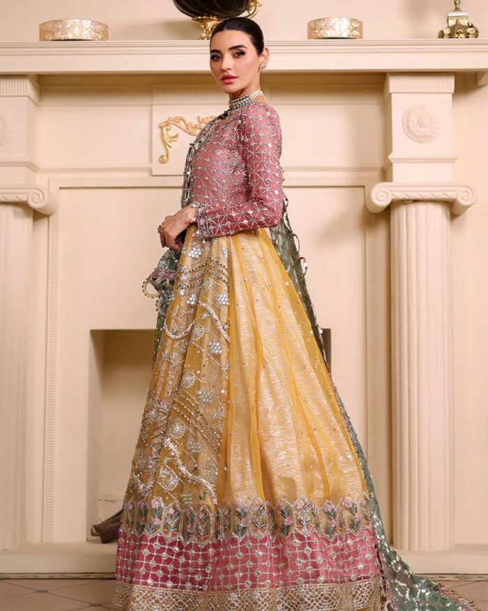 Ally's Official | 3 Piece Luxury Organza Maxi embroidered  |AR-123 | Ready To Wear - Image 3
