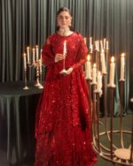 Ally's Official | 3 Piece Luxury  net fabric maxi Embroidered  | AR-113 | Ready To Wear - Image 3