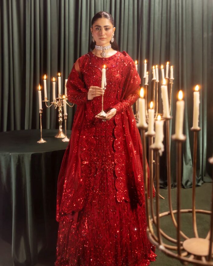 Ally's Official | 3 Piece Luxury  net fabric maxi Embroidered  | AR-113 | Ready To Wear - Image 3