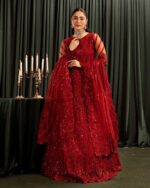 Ally's Official | 3 Piece Luxury  net fabric maxi Embroidered  | AR-113 | Ready To Wear - Image 5