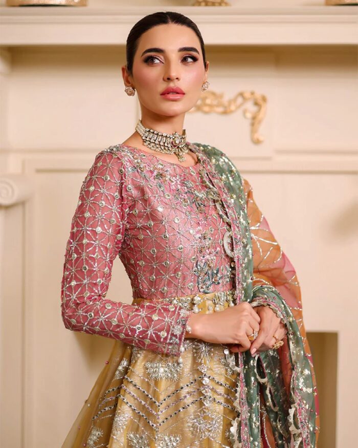 Ally's Official | 3 Piece Luxury Organza Maxi embroidered  |AR-123 | Ready To Wear - Image 9