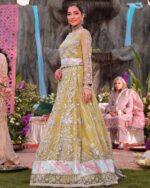 Ally's Official | 3 Piece Luxury Organza embroidered lehnga  |AL-4060 | Ready To Wear - Image 3