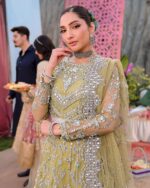 Ally's Official | 3 Piece Luxury Organza embroidered lehnga  |AL-4060 | Ready To Wear - Image 5