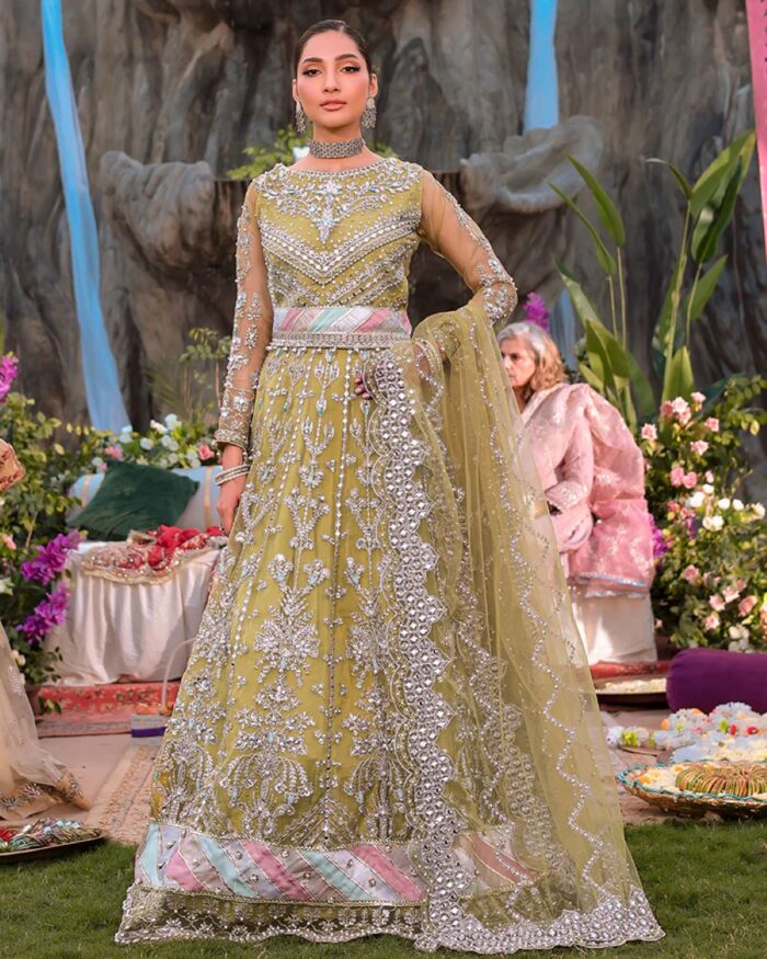 Ally's Official | 3 Piece Luxury Organza embroidered lehnga  |AL-4060 | Ready To Wear - Image 6
