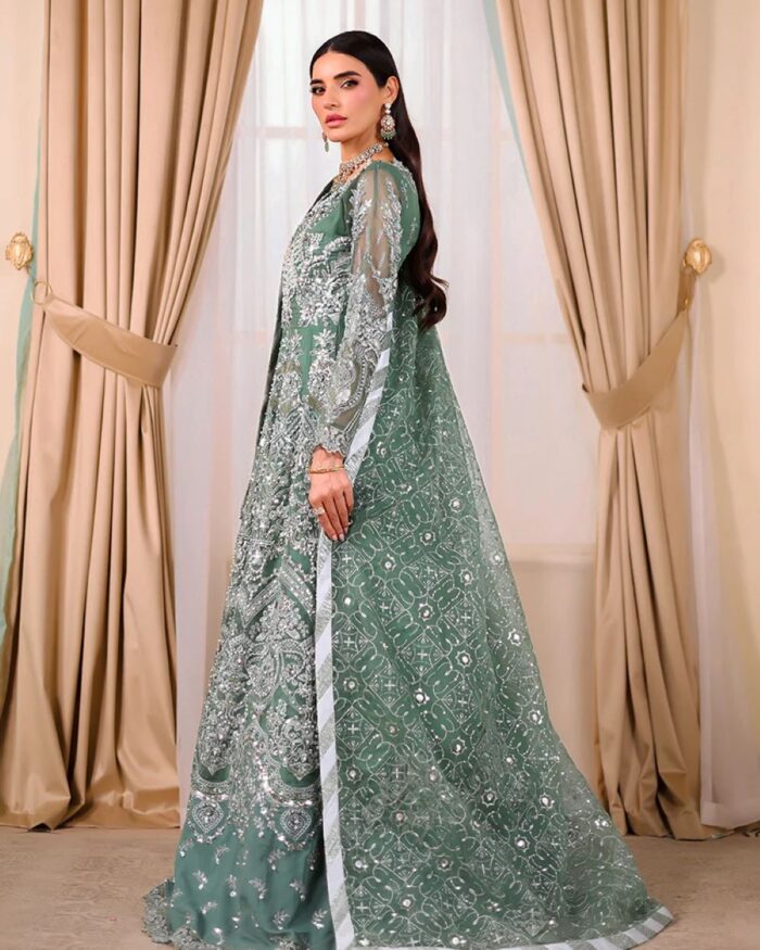 Ally's Official | 3 Piece Luxury Organza Maxi embroidered  |AR-135 | Ready To Wear - Image 4
