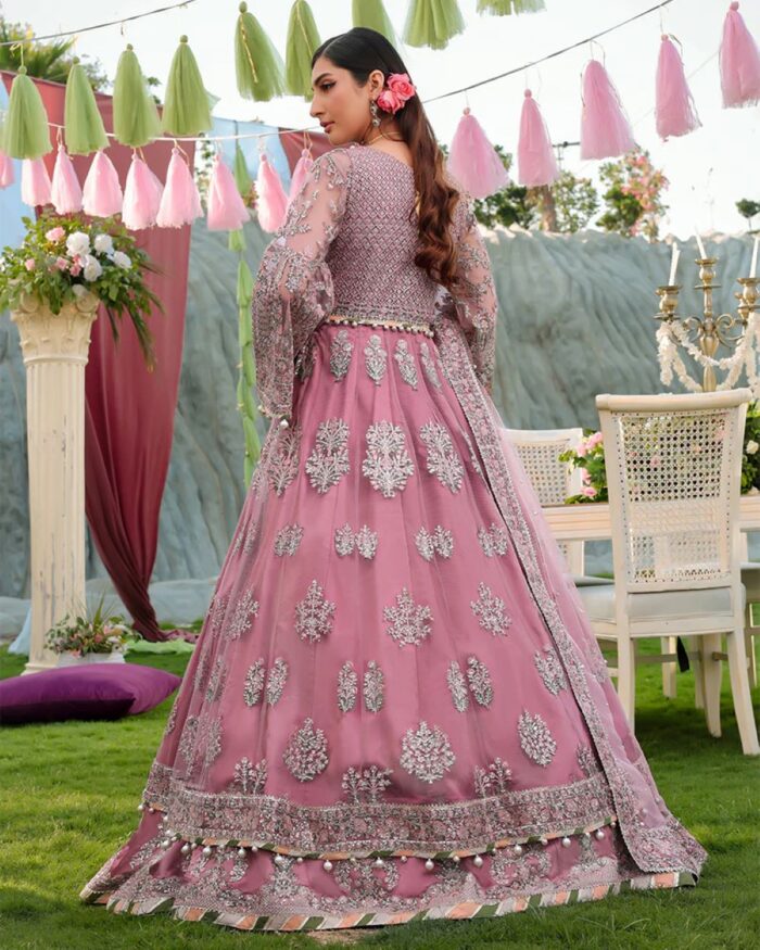 Ally's Official | 3 Piece Luxury  Net maxi Embroidered  | AL-4059 | Ready To Wear - Image 4