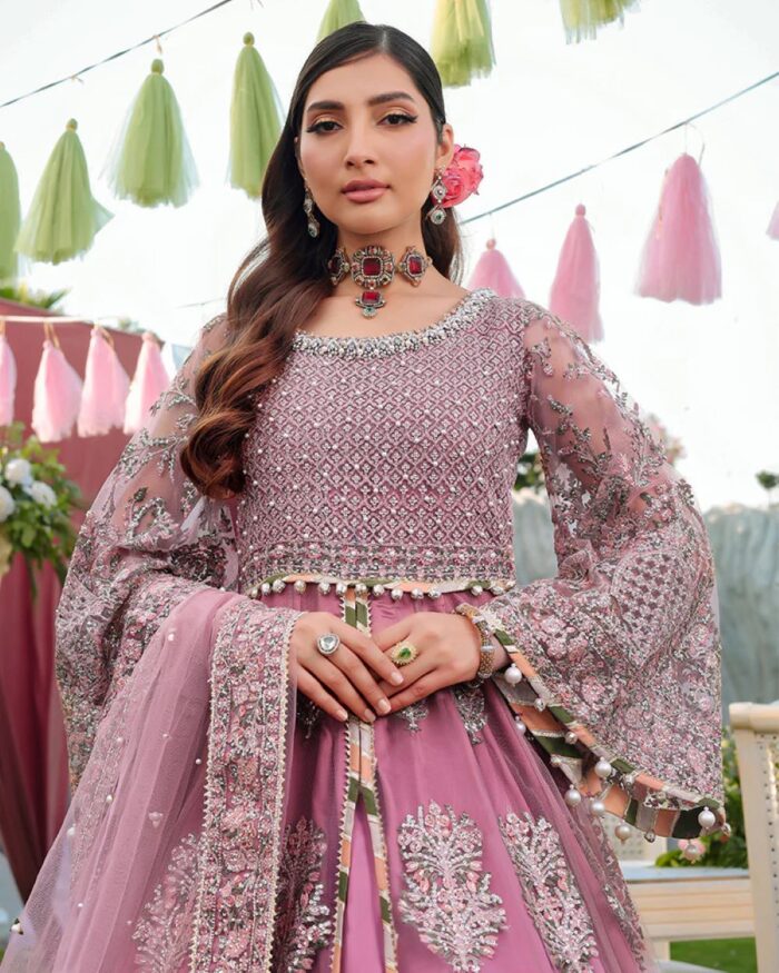 Ally's Official | 3 Piece Luxury  Net maxi Embroidered  | AL-4059 | Ready To Wear - Image 6