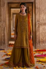 Pakistani Luxury dresses Festive collection in UK online