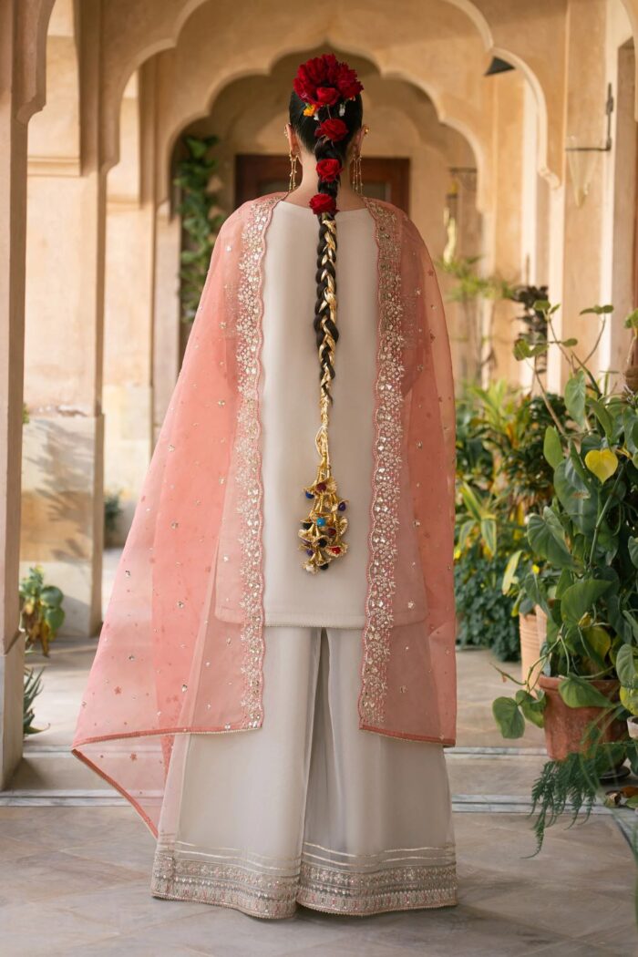 Naqshi | 3 Piece Skin & Carrot Organza luxury pret – Ablaaj | Ready To Wear - Image 6