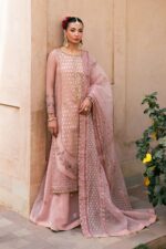 Naqshi | 3 Piece Peach Organza luxury pret – Faris | Ready To Wear - Image 5