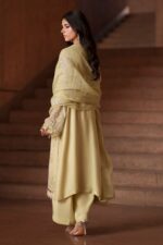 Naqshi | 3 Piece Light Lime Khadi Net luxury pret – Luzia | Ready To Wear - Image 4