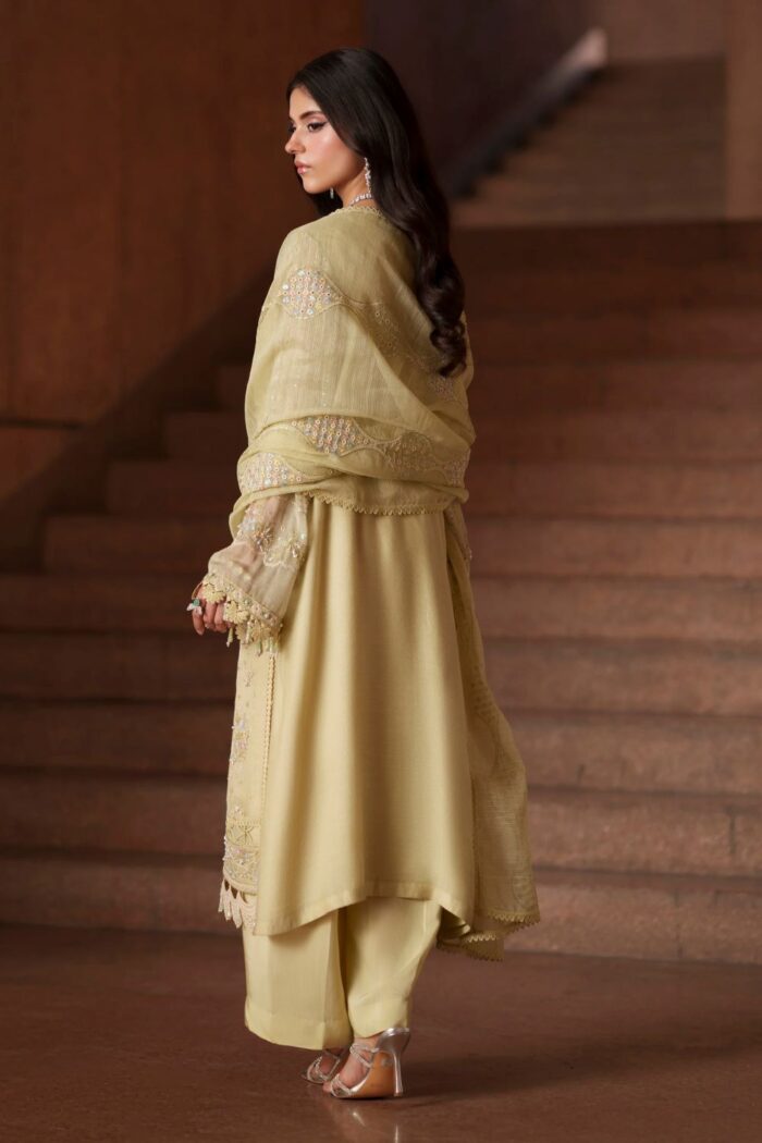 Naqshi | 3 Piece Light Lime Khadi Net luxury pret – Luzia | Ready To Wear - Image 4