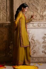 Naqshi | 3 Piece  Brown & Red Crinkle   luxury pret – Huzaim | Ready To Wear - Image 3