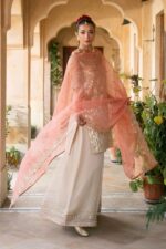 Naqshi | 3 Piece Skin & Carrot Organza luxury pret – Ablaaj | Ready To Wear - Image 5