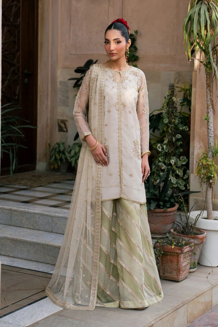 Naqshi | 3 Piece Skin + Pistachio Organza luxury pret – Saaz | Ready To Wear - Image 4