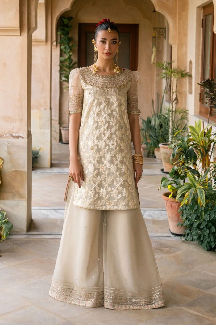 Naqshi | 3 Piece Skin & Carrot Organza luxury pret – Ablaaj | Ready To Wear - Image 4