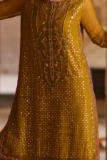 Naqshi | 3 Piece  Brown & Red Crinkle   luxury pret – Huzaim | Ready To Wear - Image 2