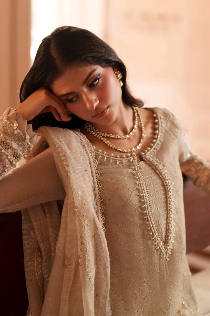 Naqshi | 3 Piece Dusty Beige  Khadi Net luxury pret – Minera | Ready To Wear - Image 4
