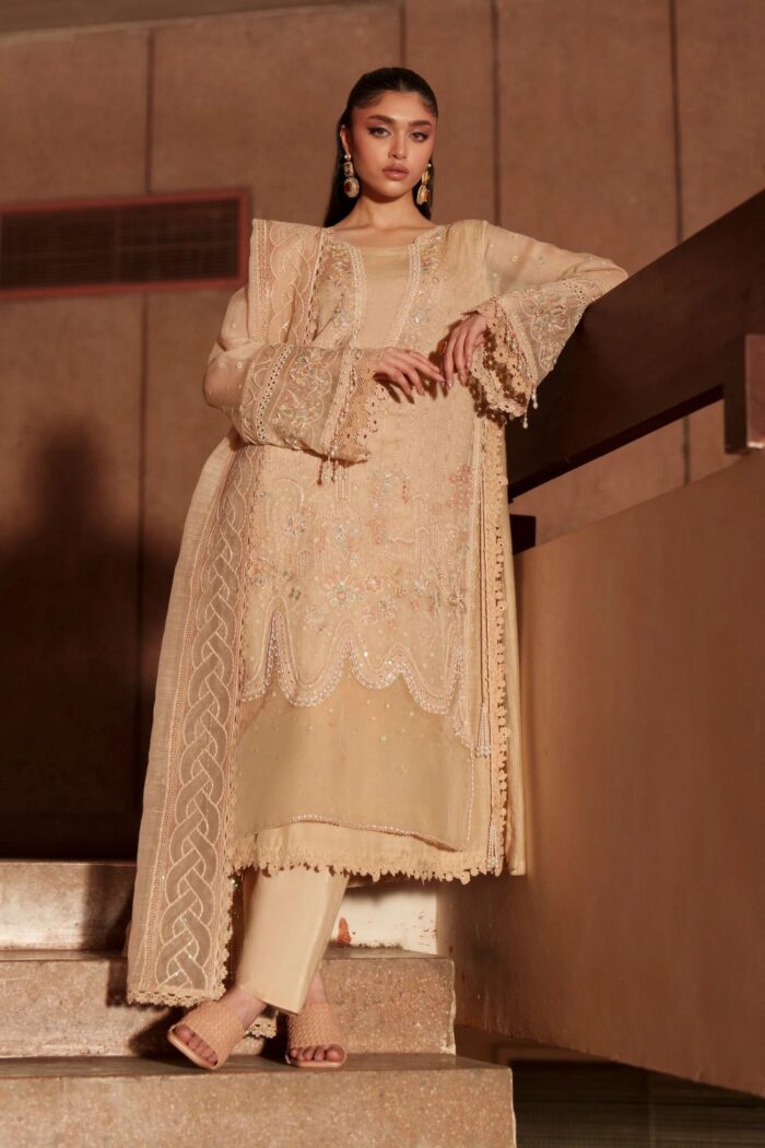 Naqshi | 3 Piece Peach Khadi Net luxury pret – Beatriz  | Ready To Wear - Image 2