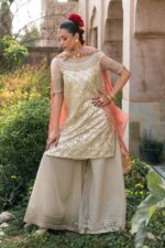 Pakistani Luxury dresses Festive collection in UK online
