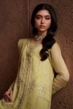 Naqshi | 3 Piece Lime Green  Khadi Net luxury pret – Pedro | Ready To Wear - Image 2