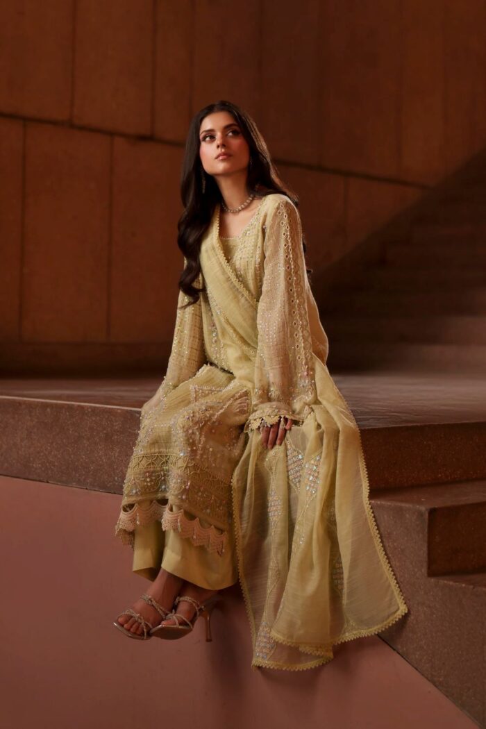 Naqshi | 3 Piece Light Lime Khadi Net luxury pret – Luzia | Ready To Wear - Image 5