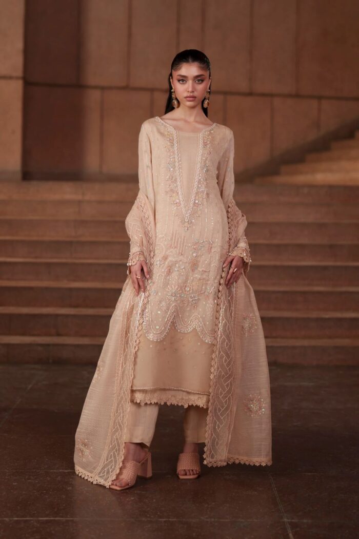Naqshi | 3 Piece Peach Khadi Net luxury pret – Beatriz  | Ready To Wear - Image 5