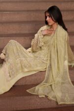 Naqshi | 3 Piece Light Lime Khadi Net luxury pret – Luzia | Ready To Wear - Image 2