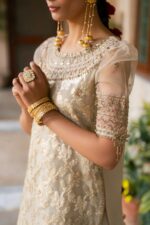 Naqshi | 3 Piece Skin & Carrot Organza luxury pret – Ablaaj | Ready To Wear - Image 2