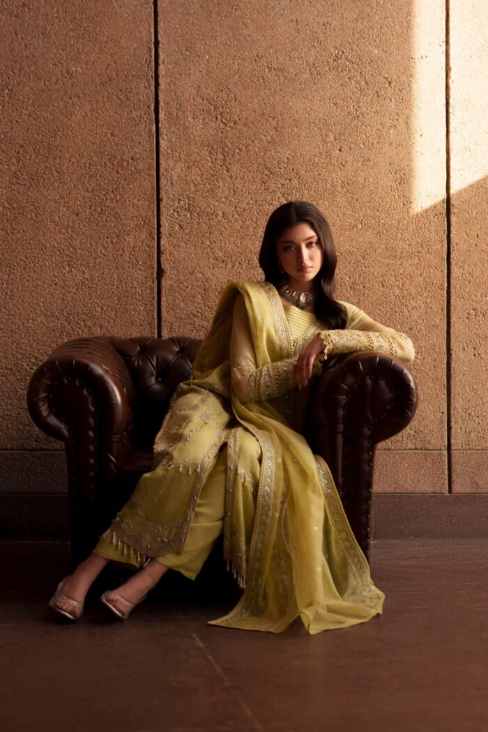 Naqshi | 3 Piece Lime Green  Khadi Net luxury pret – Pedro | Ready To Wear - Image 7