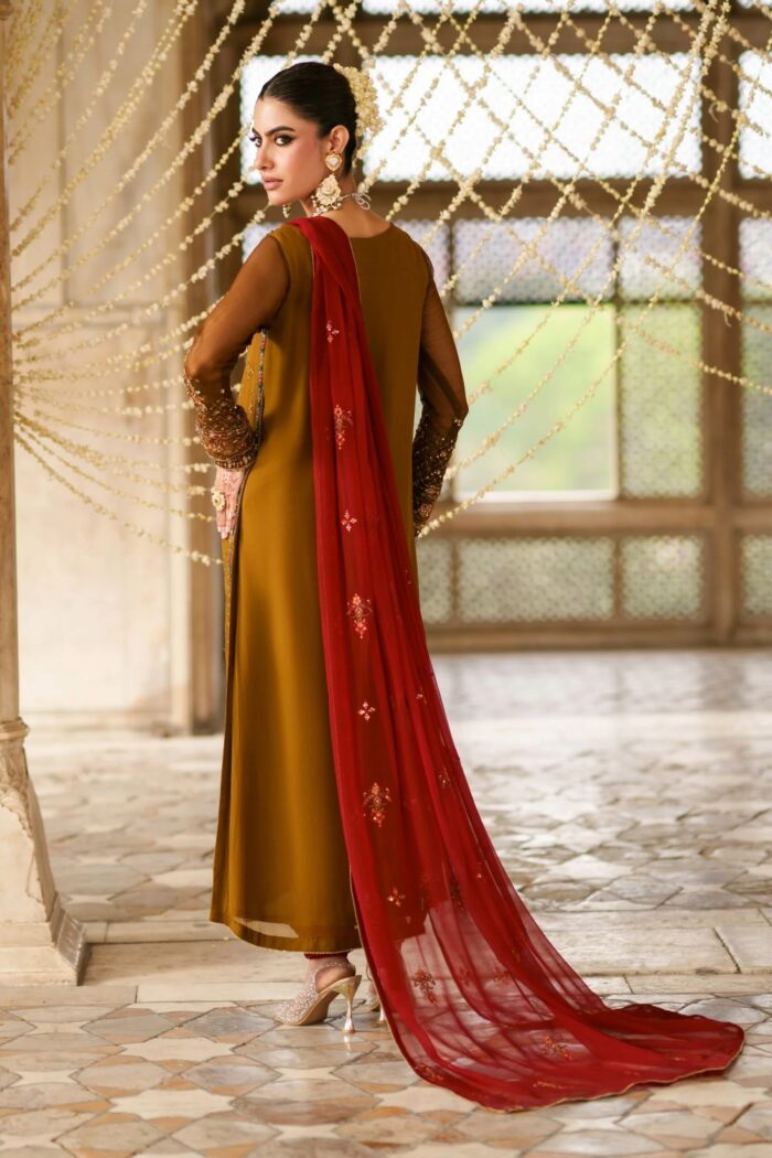 Naqshi | 3 Piece  Brown & Red Crinkle   luxury pret – Huzaim | Ready To Wear - Image 5
