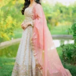 Pakistani Luxury dresses Festive collection in UK online