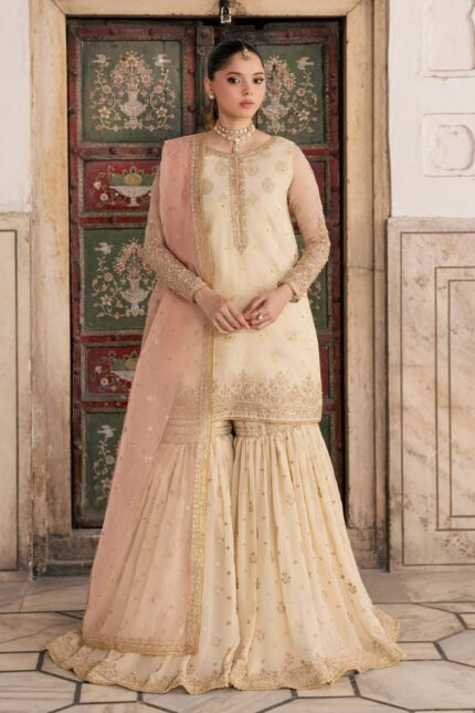Pakistani Wedding dresses In Uk