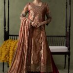 3 Piece Embroidered Zari Tissue Suit